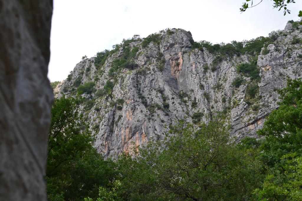 Abc Apartments Kotor Zewnętrze zdjęcie